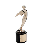 Bronze Telly Award