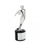 Silver Telly Award